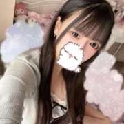 ヒメ日記 2026/03/08 12:35 投稿 ねる IRIS(岐阜)