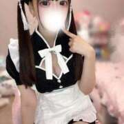 ヒメ日記 2026/03/28 10:26 投稿 ねる IRIS(岐阜)