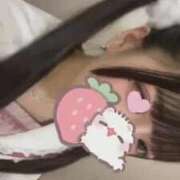 ヒメ日記 2026/05/04 10:30 投稿 ねる IRIS(岐阜)
