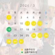 ヒメ日記 2026/02/28 23:01 投稿 さよ 風神会館新宿店