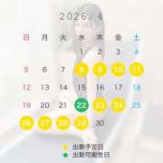 さよ 💫4月の出勤予定 風神会館新宿店