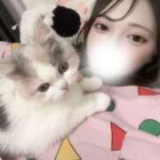 ヒメ日記 2026/03/06 15:02 投稿 ♡ド変態クジラ♡ MUTEKI LAND大阪店