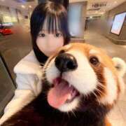 ヒメ日記 2026/01/21 22:18 投稿 すい ワンダフル