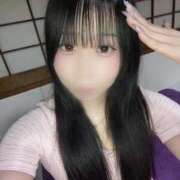 ヒメ日記 2026/02/10 17:19 投稿 すい ワンダフル