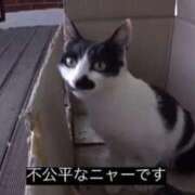 ヒメ日記 2026/08/14 13:05 投稿 すい ワンダフル