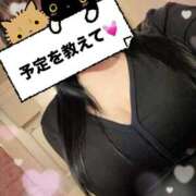 ヒメ日記 2026/03/23 12:38 投稿 櫻井ゆうひ 三丁目の奥様（東京ハレ系）