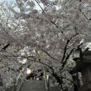 ヒメ日記 2026/03/30 17:30 投稿 櫻井ゆうひ 三丁目の奥様（東京ハレ系）