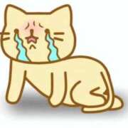 ヒメ日記 2026/04/05 10:03 投稿 櫻井ゆうひ 三丁目の奥様（東京ハレ系）