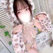 なな 1/12のお礼① JAPAN CLUB BUNNY LOUNGE