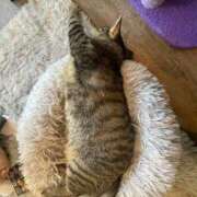 ヒメ日記 2026/02/19 20:29 投稿 星奈　ひまり OLピンクコレクション