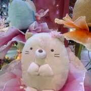 ヒメ日記 2026/03/13 20:19 投稿 星奈　ひまり OLピンクコレクション