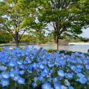 ヒメ日記 2026/03/30 07:49 投稿 星奈　ひまり OLピンクコレクション