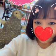 ヒメ日記 2026/04/04 19:26 投稿 紗山　ありさ ドMな奥様 すすきの店