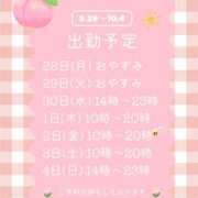ヒメ日記 2026/09/27 15:26 投稿 若槻　もも 癒し娘診療所 水戸・ひたちなか店