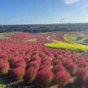 ヒメ日記 2026/10/14 13:46 投稿 若槻　もも 癒し娘診療所 水戸・ひたちなか店