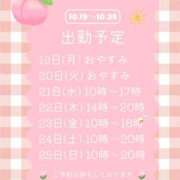 ヒメ日記 2026/10/17 13:16 投稿 若槻　もも 癒し娘診療所 水戸・ひたちなか店