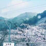 ヒメ日記 2026/04/01 12:58 投稿 菊池涼子 五十路マダム　和歌山店