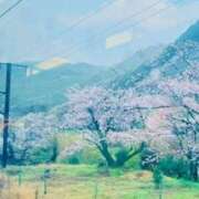 ヒメ日記 2026/04/02 11:50 投稿 菊池涼子 五十路マダム　和歌山店