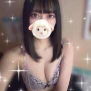 ヒメ日記 2026/02/20 09:14 投稿 あかり べっぴんコレクション