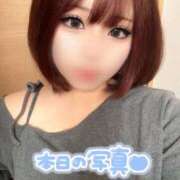 ヒメ日記 2026/02/24 15:30 投稿 らん ぽっちゃり巨乳専門店 町田相模原ちゃんこ