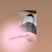 ヒメ日記 2026/01/13 08:28 投稿 ハマチ 女の子市場