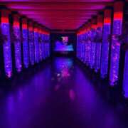 ヒメ日記 2026/02/02 12:03 投稿 サオリ MEGA PALACE(メガパレス）