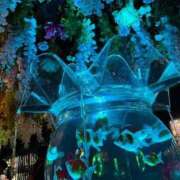 サオリ ごめんなさい MEGA PALACE(メガパレス）