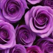 ヒメ日記 2026/01/08 22:08 投稿 新人えみり 嗚呼、四十五歳以上