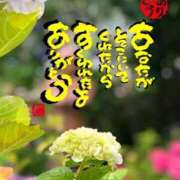 ヒメ日記 2026/02/05 08:35 投稿 新人えみり 嗚呼、四十五歳以上