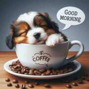 ヒメ日記 2026/02/10 06:56 投稿 新人えみり 嗚呼、四十五歳以上