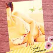 ヒメ日記 2025/08/23 20:41 投稿 さりな 人妻倶楽部内緒の関係 柏店