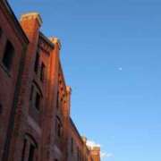 ヒメ日記 2026/01/30 19:43 投稿 すもも 横浜ハッピーマットパラダイス