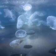 まい ※無題 ラブコレ