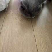 ヒメ日記 2026/06/15 09:07 投稿 まい ラブコレ