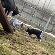 ヒメ日記 2026/02/22 07:54 投稿 かごめ 池袋サンキュー