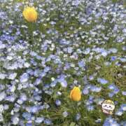 るる＠未経験 るる（エコ天王寺店） スピードエコ天王寺店