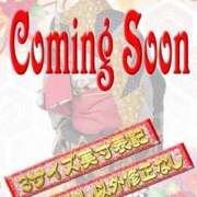 鵜飼いぶき テスト 五十路マダム 岐阜店