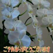 鵜飼いぶき ありがとうございます 五十路マダム 岐阜店