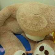 ヒメ日記 2026/01/28 22:36 投稿 鵜飼いぶき 五十路マダム 岐阜店