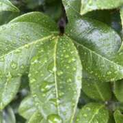 ヒメ日記 2026/02/25 13:48 投稿 鈴-すず 熟女10000円デリヘル 川崎