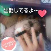 ヒメ日記 2026/01/17 12:08 投稿 おとは 静岡駅前ちゃんこ