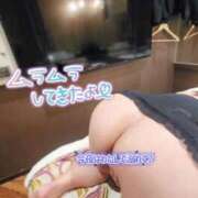 ヒメ日記 2026/01/17 17:18 投稿 おとは 静岡駅前ちゃんこ