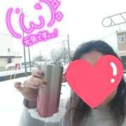 ヒメ日記 2026/02/08 14:18 投稿 おとは 静岡駅前ちゃんこ