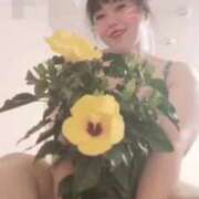 おとは ✨️重要な告知✨️明日出勤→❤️ 静岡駅前ちゃんこ