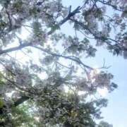 ヒメ日記 2026/04/16 18:56 投稿 こころ 制服これくしょん