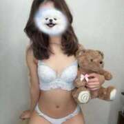 ヒメ日記 2026/01/29 19:02 投稿 高橋れお 渋谷ミルク