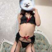 ヒメ日記 2026/02/26 20:22 投稿 高橋れお 渋谷ミルク