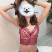 ヒメ日記 2026/03/06 20:22 投稿 高橋れお 渋谷ミルク