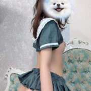 ヒメ日記 2026/03/08 19:42 投稿 高橋れお 渋谷ミルク