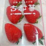 桜田 🍓…💭 倶楽部月兎【逆夜這い】大阪